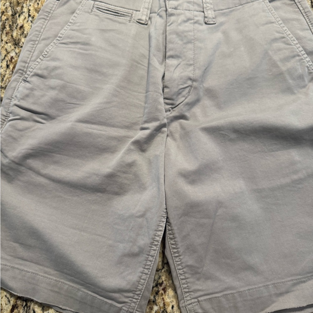 American Eagle Outfitters Light Gray Flat Front Shorts